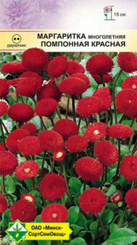 Маргаритка многолетняя "Помпонная красная" 0,05г., Германия.