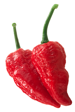 Каролина Рипер (Carolina Reaper) в ассортименте