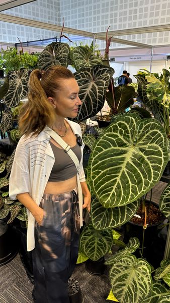 Выставка в Бангкоке Выставка в Бангкоке