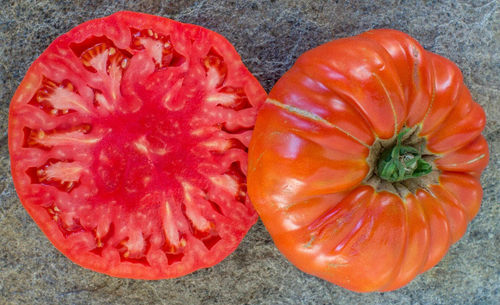 Огромный из Тальмонта ENORME de TALMONT