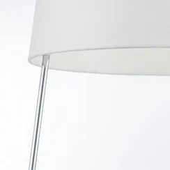 Напольный светильник (торшер) Maytoni MOD613FL-01W