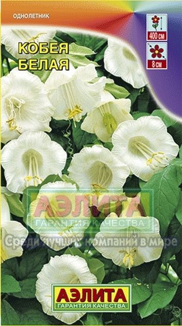 Кобея