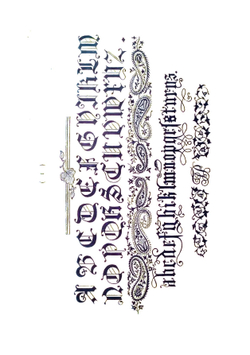 The embroiderer's book of design | Freeman Delamotte