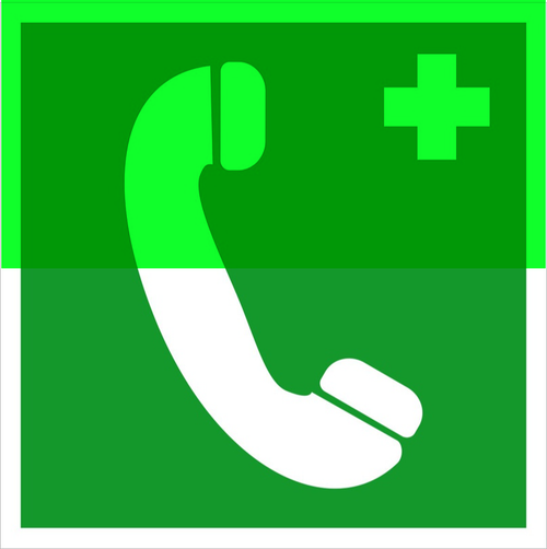 ЕС 06 "Телефон связи с медицинским пунктом (скорой медицинской помощью) "