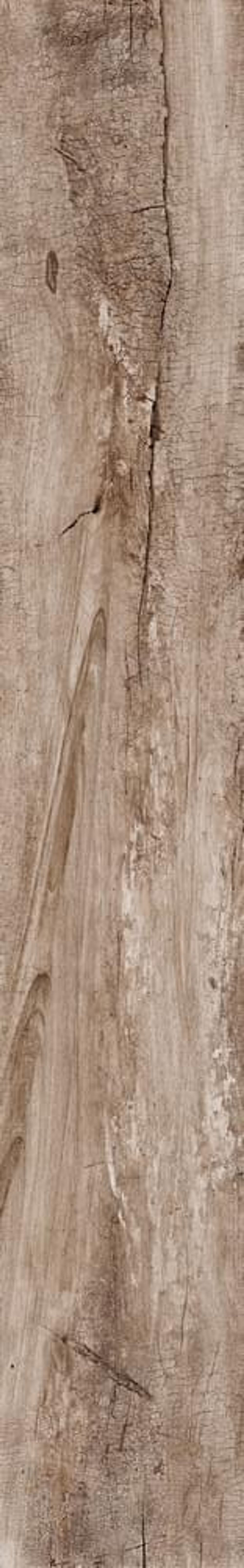 Rondine Living Marrone 15x100