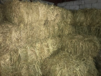 Сено луговое кипа 17 кг