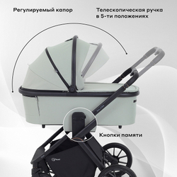 Детская коляска Rant Falcon Neo 3 в 1 с автокреслом Evomax Grey Sage