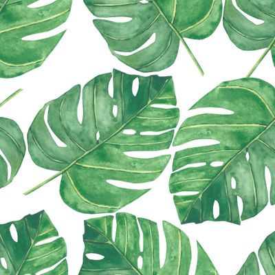 Watercolor hand painted nature tropical seamless pattern with green palm jungle leaves isolated on the white background