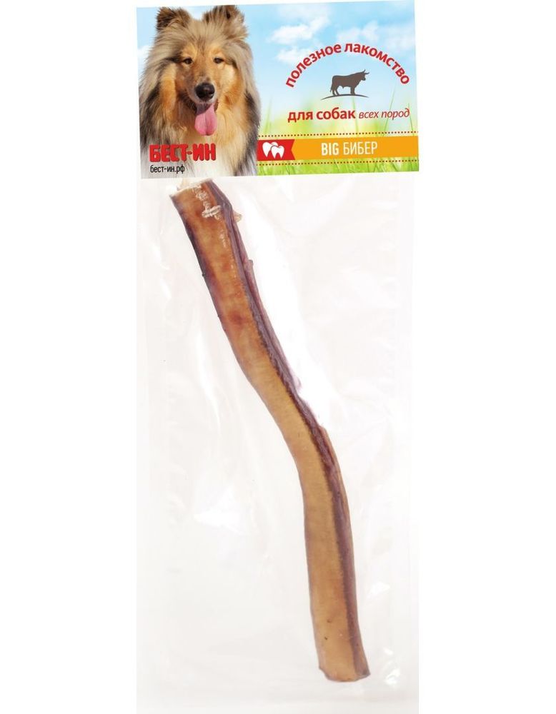 Лакомство для собак SVB-IN Бибер бычий BIG - 1 шт