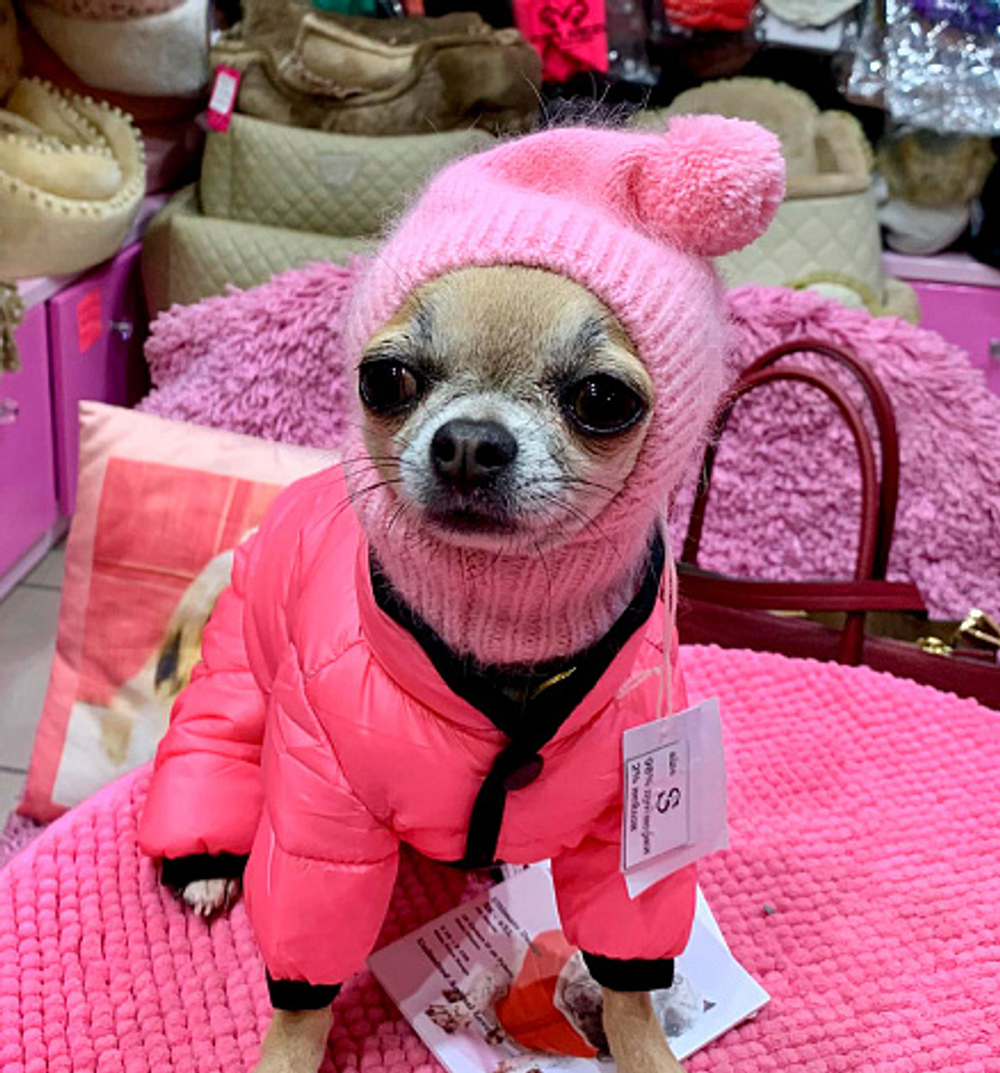 1924 DB Шапка "Гномик"