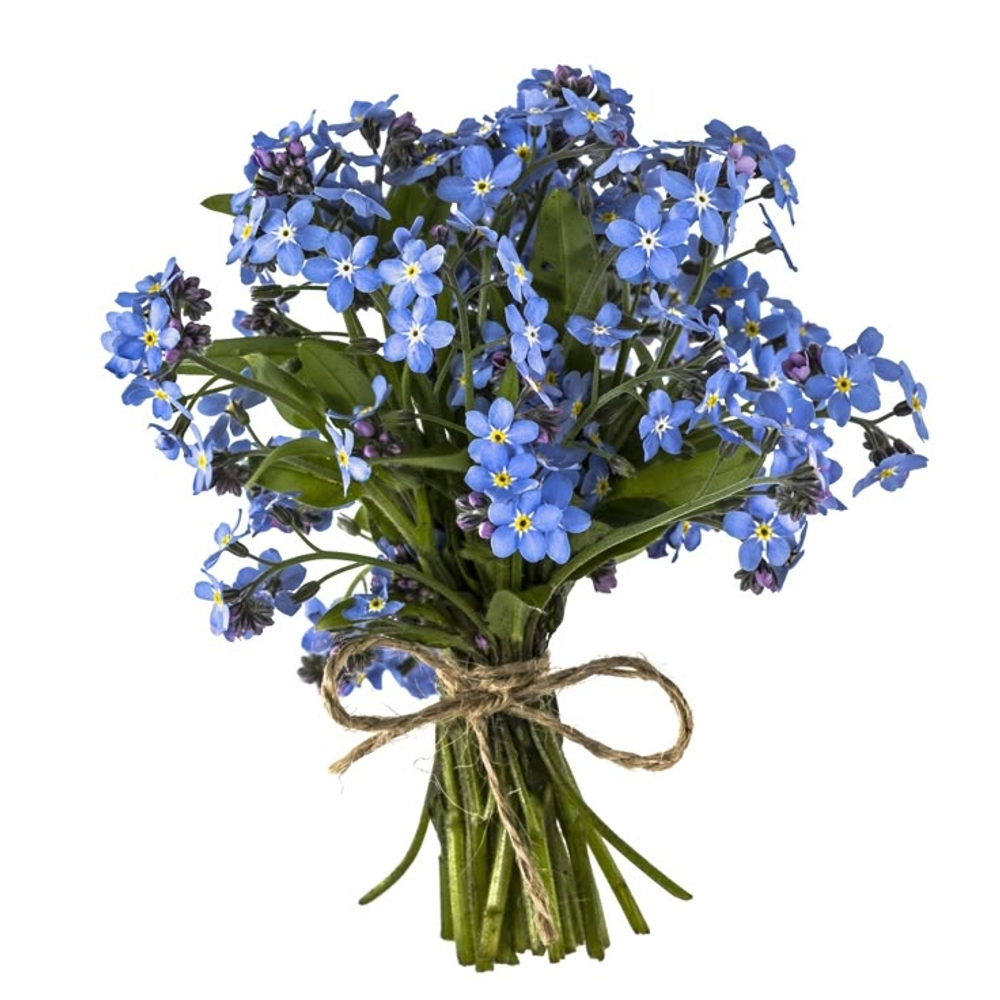 Букет "Незабудка"