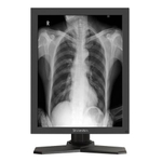 Монитор RESHIN 2 МП 21.3" монохромный 1600x1200