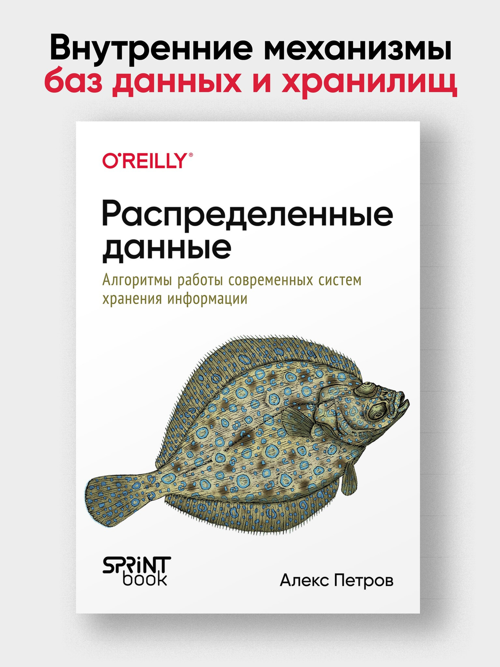 Распределенные данные. Алгоритмы работы современных систем хранения информации