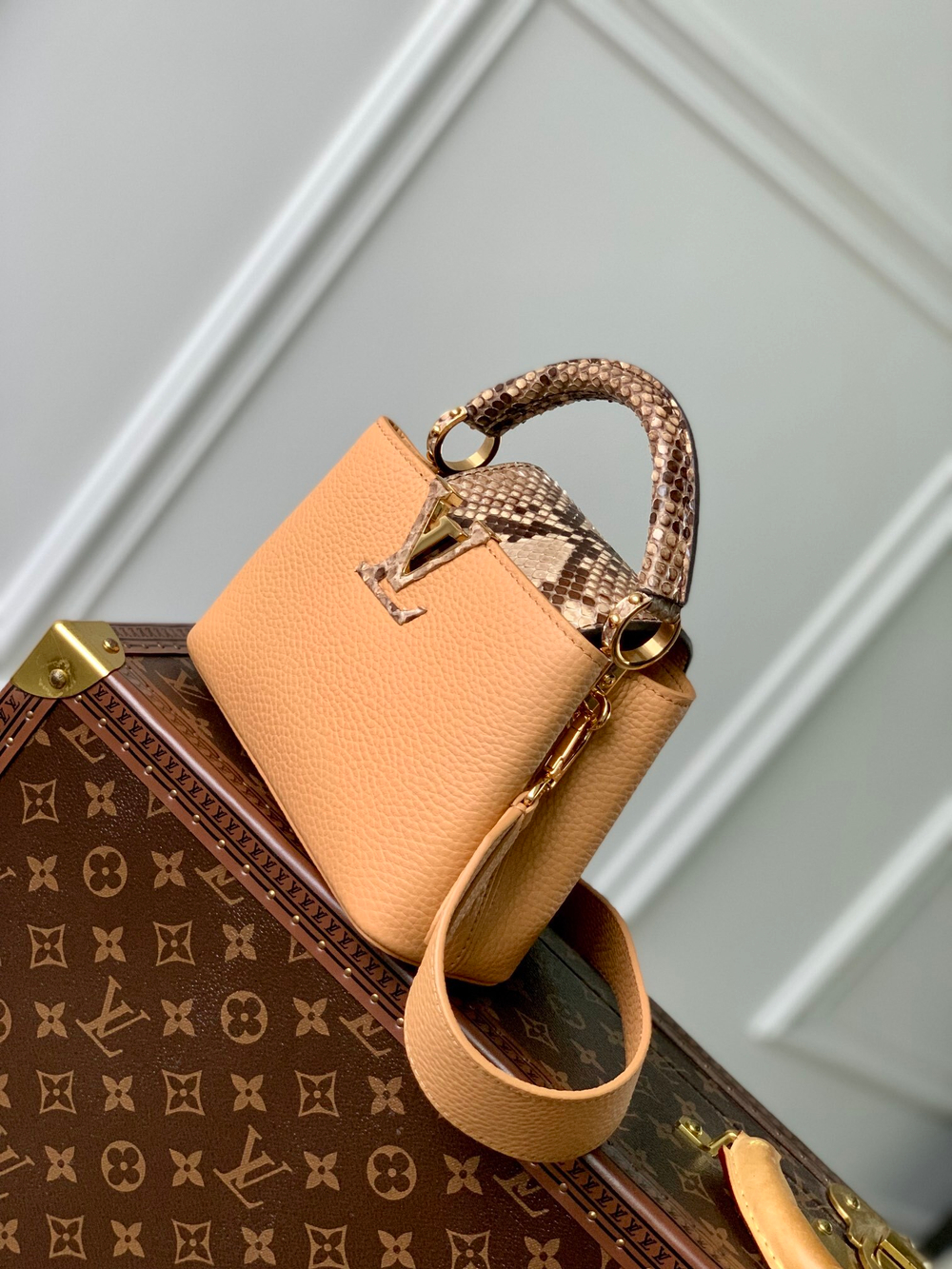 Louis Vuitton Capucines Mini