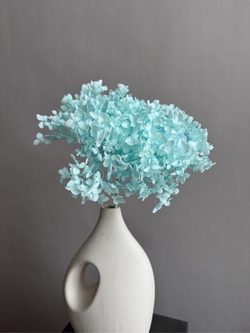 Гортензия стабилизированная тиффани