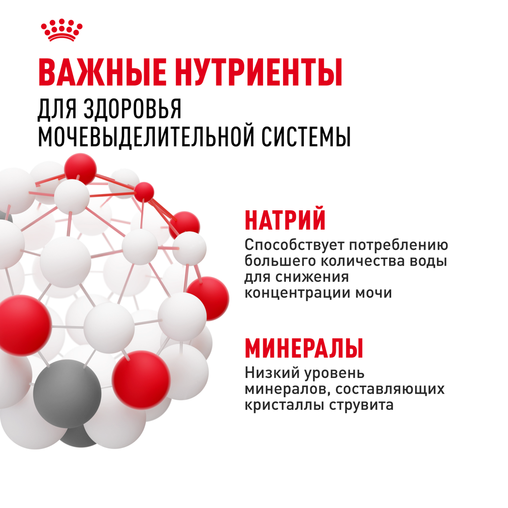 Royal Сanin Mini Urinary Care Мини Уринари Кэа Корм сухой диета для собак мелких размеров с чувствительной мочевыделительной системой 1кг