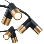 Подвесная люстра Indigo DOPPIO 11036/12P Black V000455