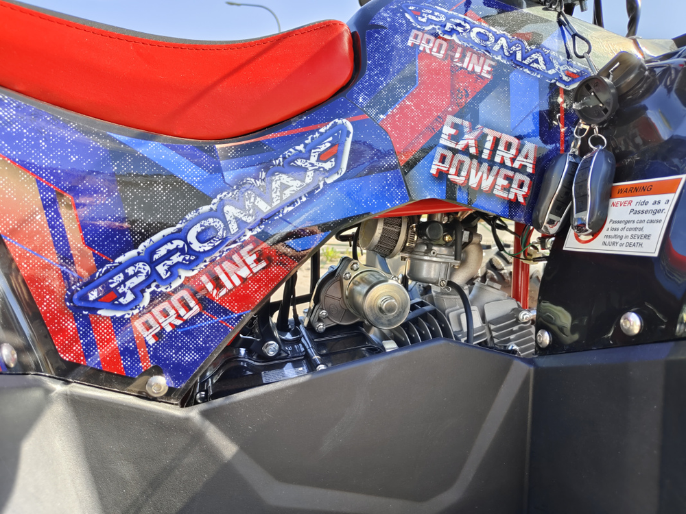 Квадроцикл PROMAX WILD 175 BASIC