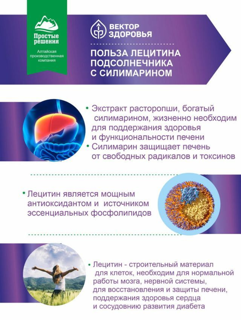 Комплекс лецитин подсолнечника с силимарином для печени, сосудов и ЦНС