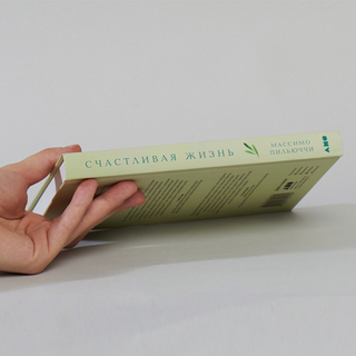 Счастливая жизнь. Руководство по стоицизму для современного человека. Массимо Пильюччи