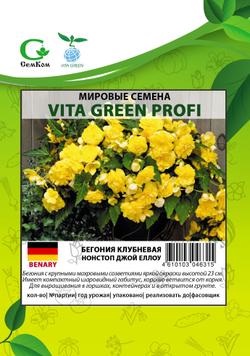 Бегония клубневая Нонстоп Джой Еллоу (50шт) Витагрин Профи