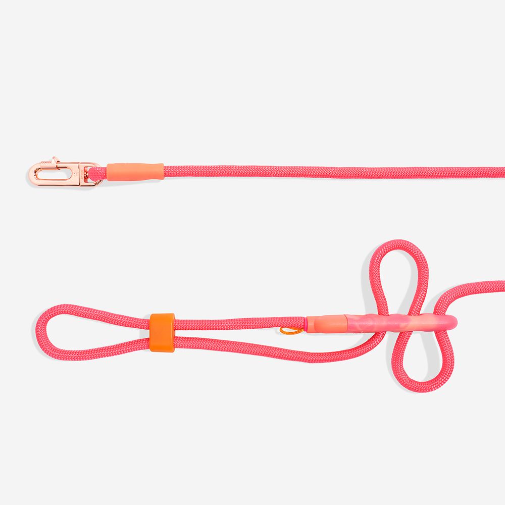 Поводок handsfree GAZELLE Zee.Dog