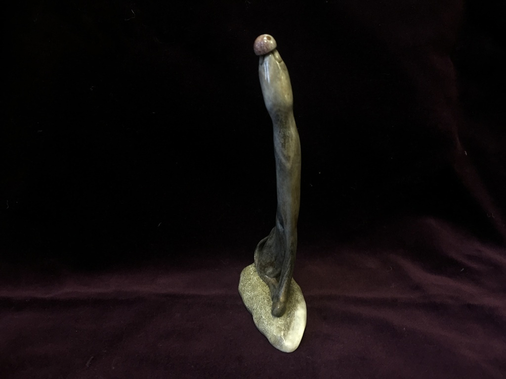 Кот и божья ковка, миниатюра