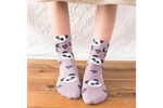 Носки Funfur Friend в наборе 5 пар