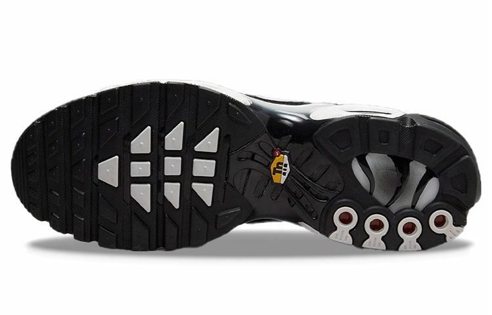 Кроссовки Nike Air Max Plus