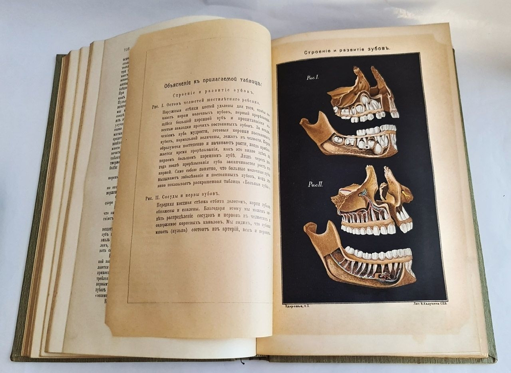"Здоровье, его сохранение, расстройство и восстановление (ч.1,2,4)". Настольная книга для семьи. Р. Коссман, Ю. Вейсс. 1910г. - антикварное издание