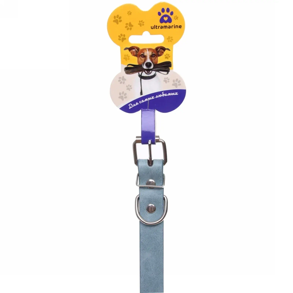 Ошейник искусственная кожа «Друг» 2*48см цвет голубой Ультрамарин