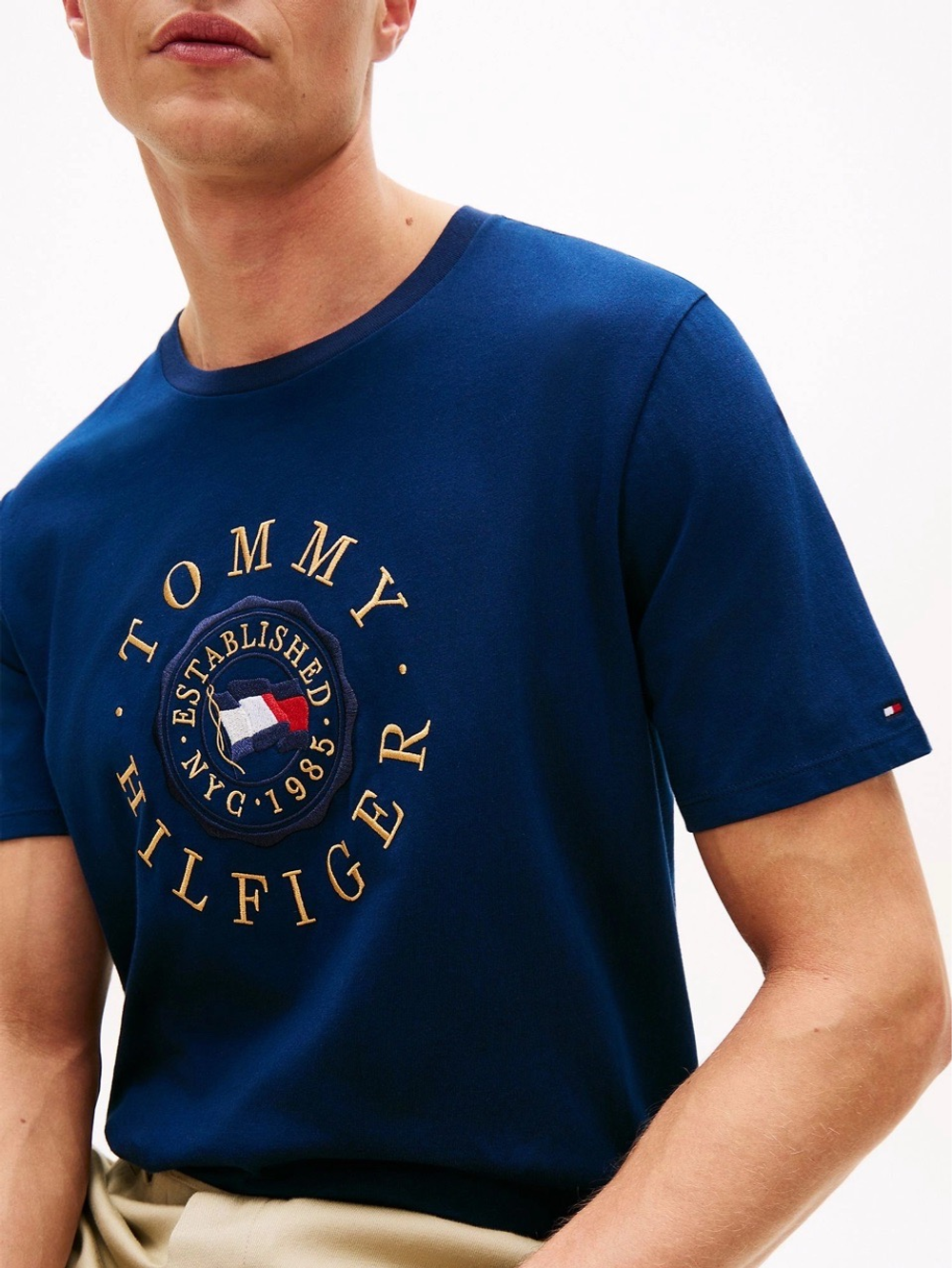 Футболка Tommy Hilfiger Circle Flag Logo Light Navy