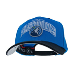 Баскетбольная кепка Mitchell&Ness Minnesota Timberwolves Team Arch