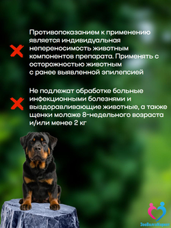 Рабектра 500 мг жевательная таблетка против блох и клещей для собак весом 10-20 кг, 1 таблетка