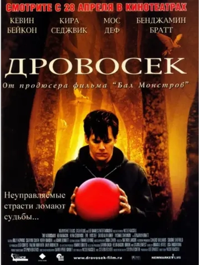 Дровосек (2004) (DVD-R)