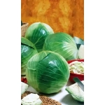 Семена Капуста белокочанная Мечта (УД) 0.3гр Е/П