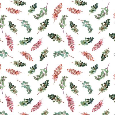 нежные веточки эвкалипта на белом