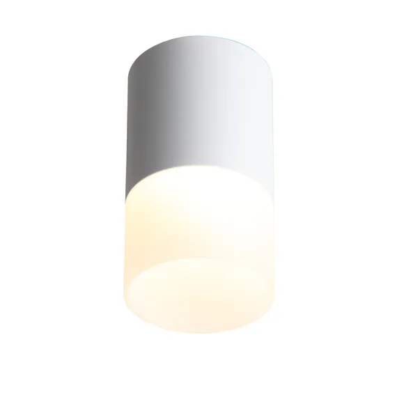 ST100.502.10 Светильник потолочный Белый LED 1*10W 3000K 780Lm Ra>80 120° D78xH135 170-240V Накладные светильники