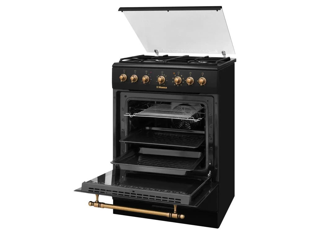 Գազօջախ HANSA FCMA68109