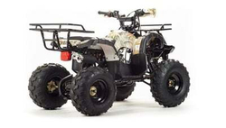 Квадроцикл MOTOLAND 150 FOX