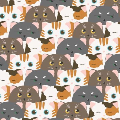 Забавные котики