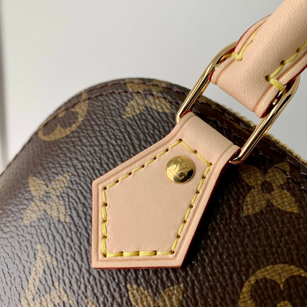 Louis Vuitton Nano Alma