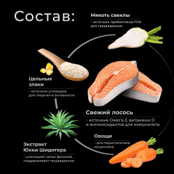 Корм сухой для взрослых собак породы Болонка, с лососем, 2,5 кг, QUATTRO