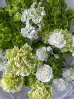 Букет сборный из гортензии, диантусов, моллюцелы и маттиолы