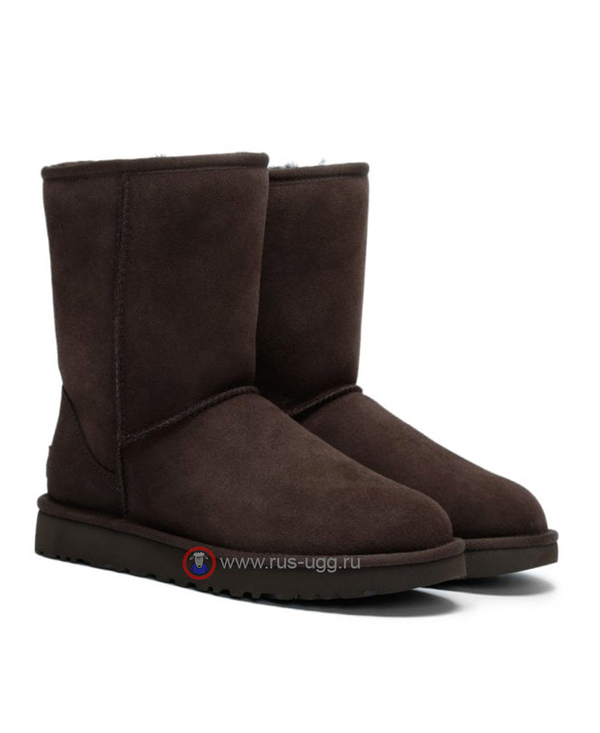 CLASSIC SHORT MEN II Chocolate