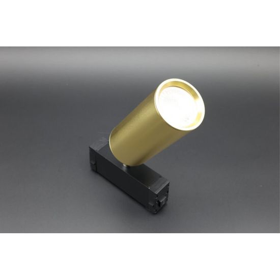 Светильник трековый APL.0209.10.01