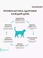Корм сухой для домашних кошек, Grandorf Cat Lamb&Turkey Indoor Adult для взрослых кошек с нормальной активностью, чувствительным пищеварением или склонных к аллергии, 400 гр (ягненок с индейкой)