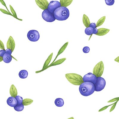 Акварельная голубика