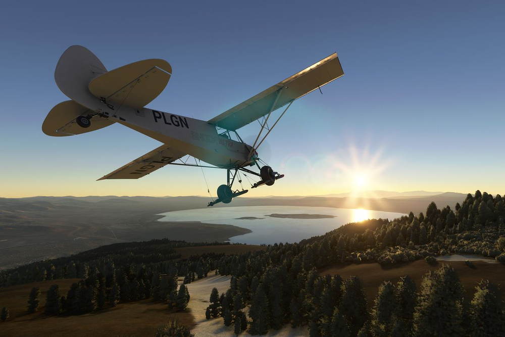 Microsoft Flight Simulator [Xbox series] new