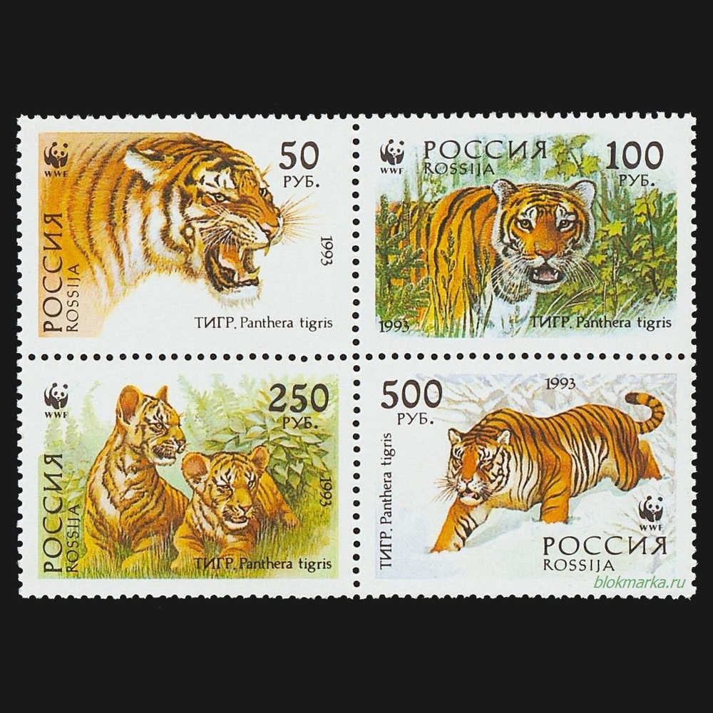 Россия 1993 г № 124-127 Серия Уссурийский тигр Сцепка Чистая MNH **